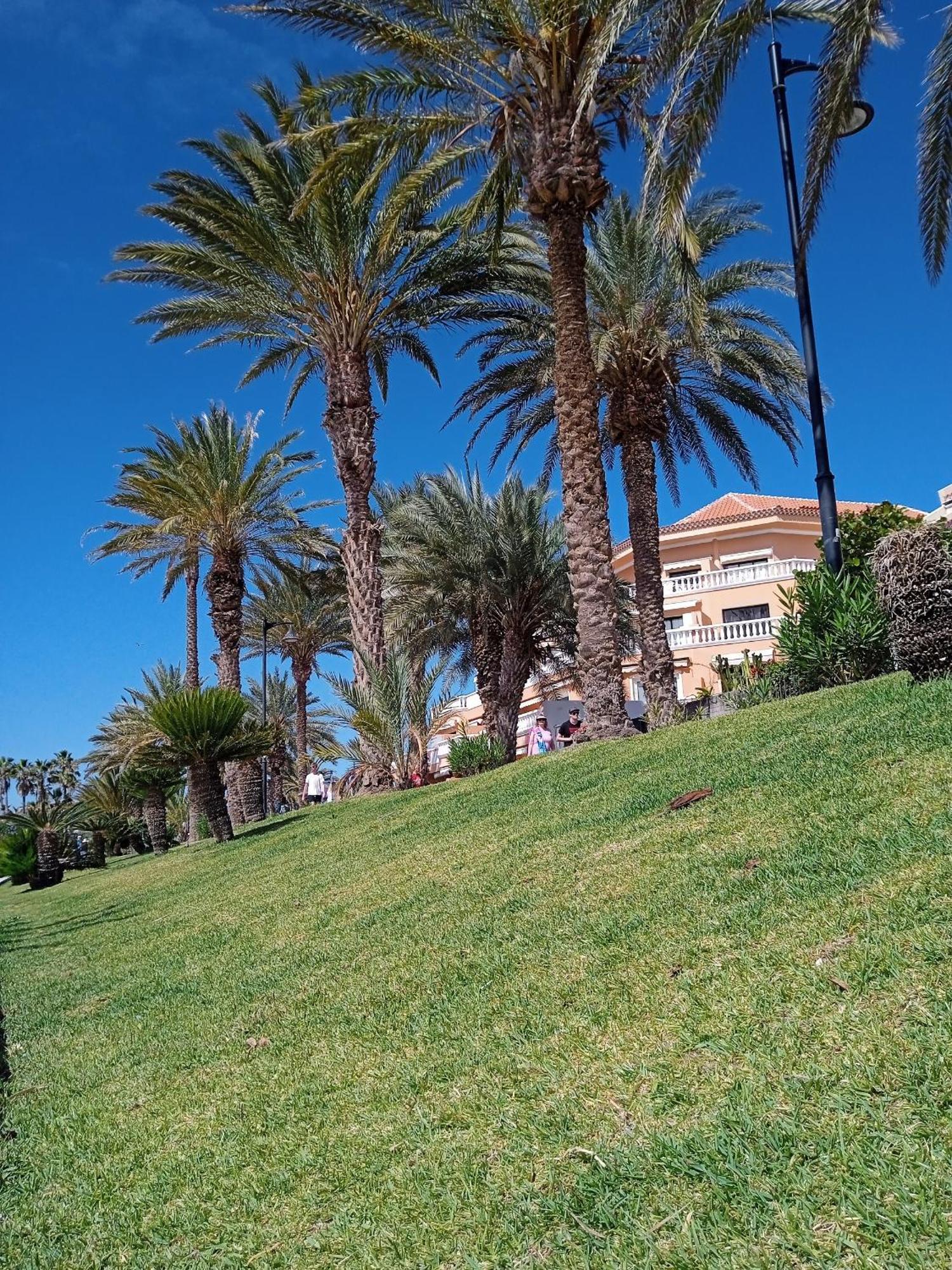 לוס כריסטיאנוס Apartamento Familiar Con Piscina Con Wi Fi En Los Cristianos מראה חיצוני תמונה